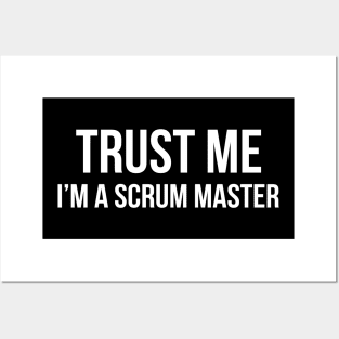 Developer Trust Me I'm a Scrum Master Posters and Art